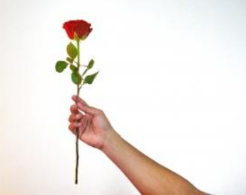  빚때문에 죽지 마세요