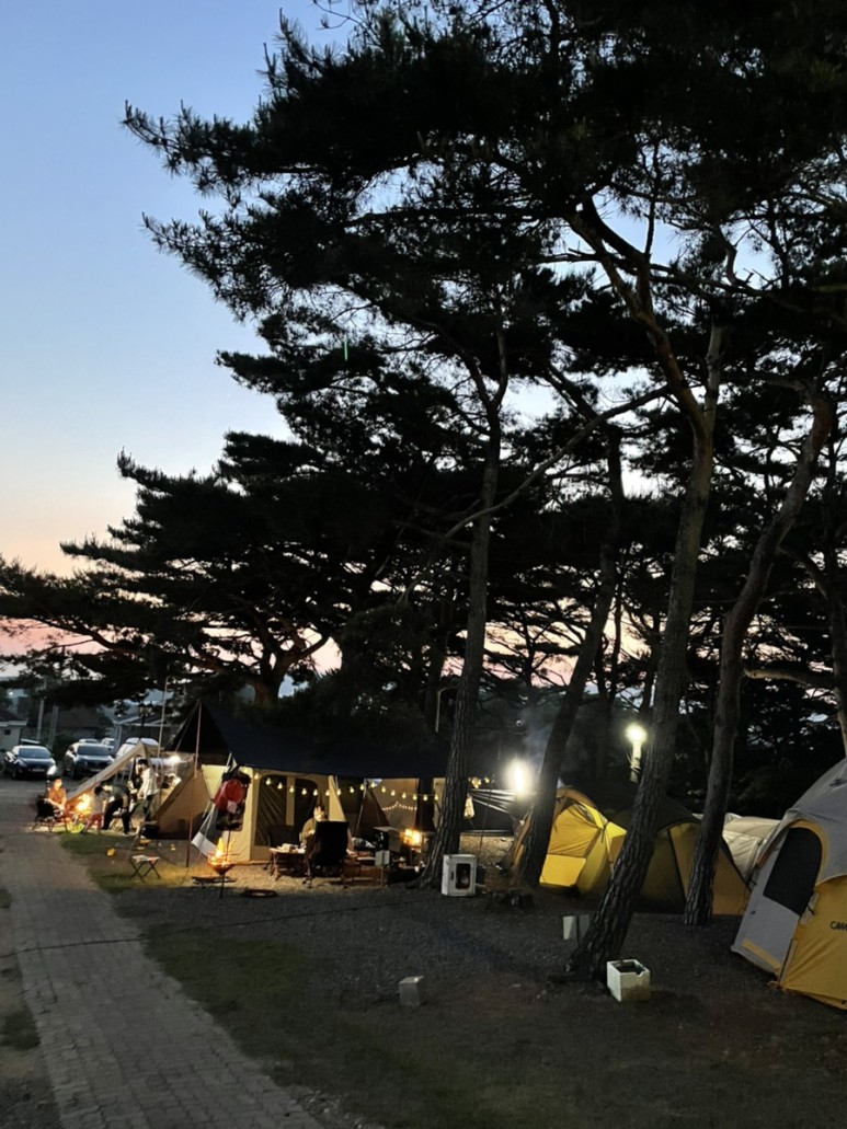 [트립] 대천오토캠핑장_캠핑 후기! #캠핑 #캠핑장 #대천캠핑 5