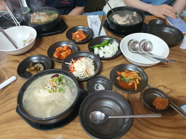 진영 산야초 말복에 김해 9
