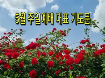 2025년 5월 둘째주 대표기도문_17