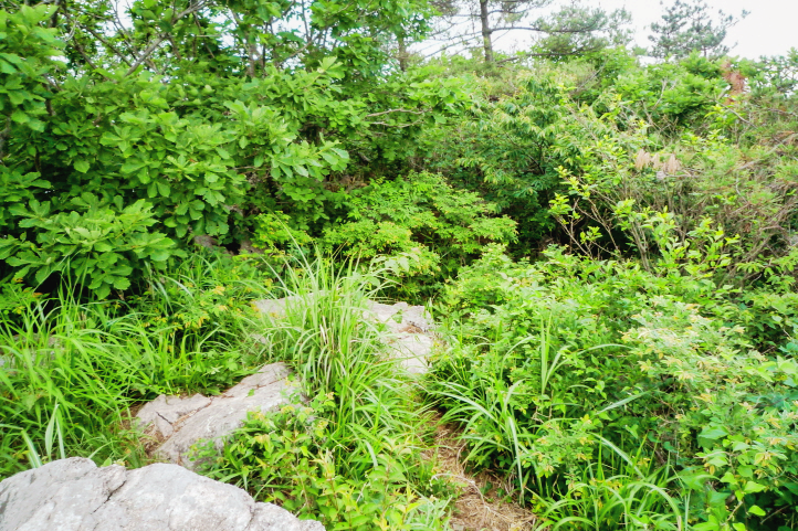 한국 명산 전남 장성 방장산 등산 mountain hiking