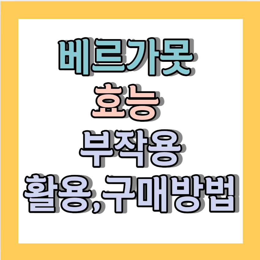 베르가못 효능 활용 부작용 구매방법