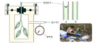 농촌지도사, 농업직 시험대비 방송통신대학교 농학과 - 재배식물생리학 요약 정리 - 4. 물의 특성과 수분퍼텐셜 : 네이버 블로그