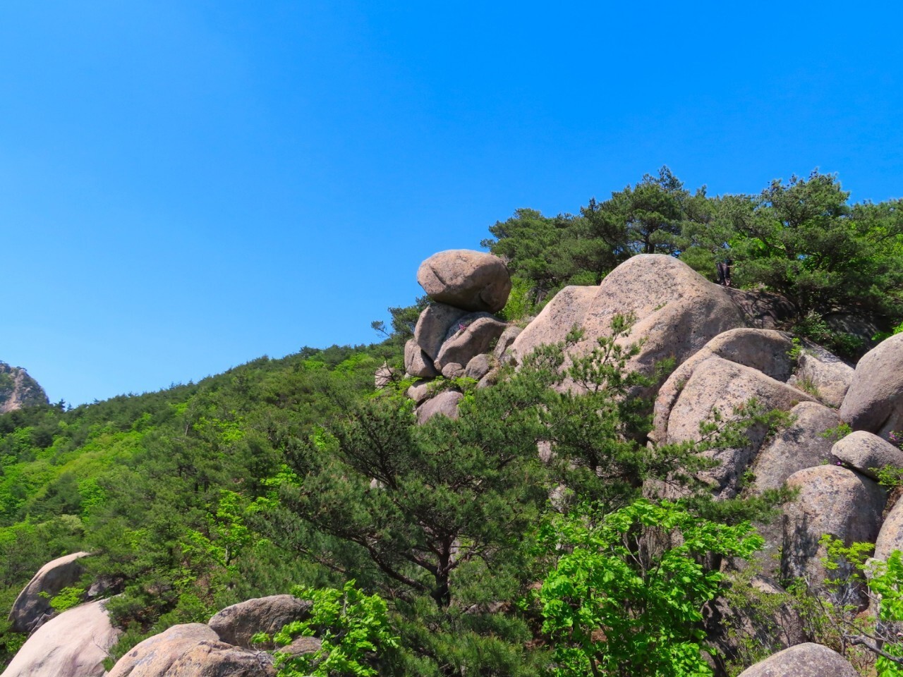 블랙야크 100+, Y출렁다리, 45