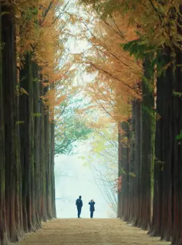 남이섬 