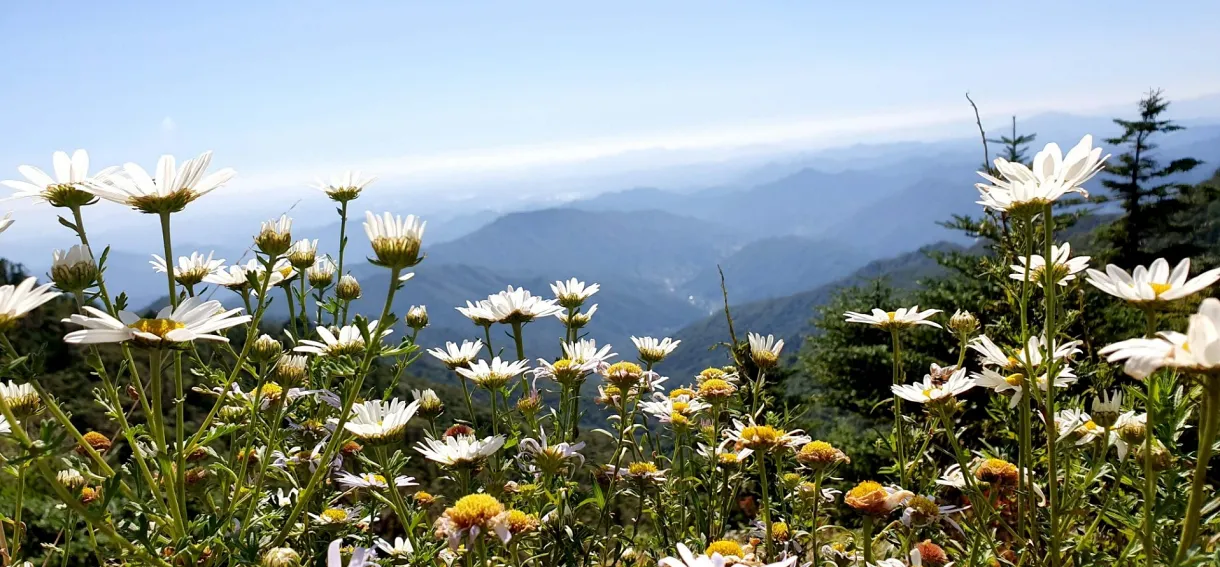 지리산 가을 마중 산행