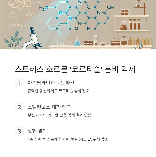루이보스차