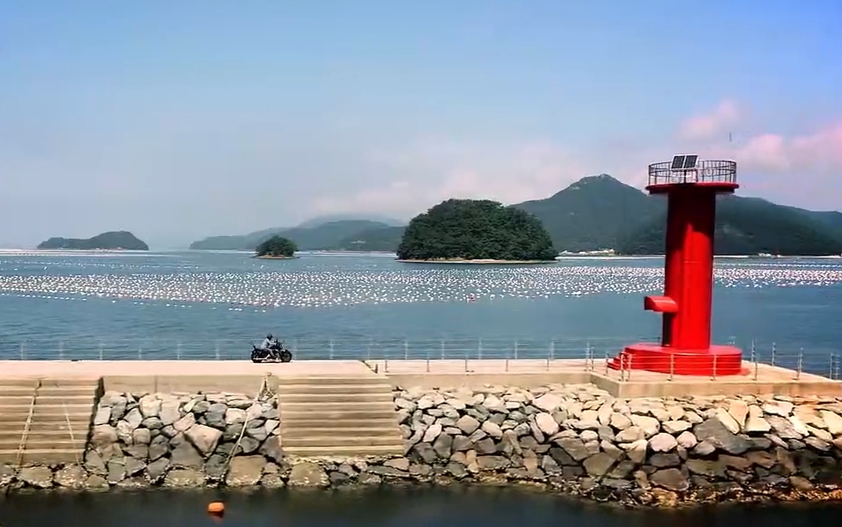 하동충무김밥 이미지