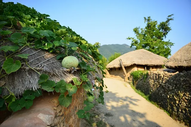 벌교 가볼만한곳 베스트10 꼬막 필수 맛집 꼭 가세요_4