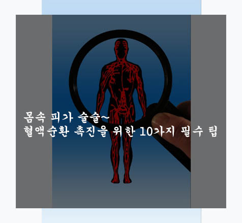 몸속 피가 술술~: 혈액순환 촉진을 위한 10가지 필수 팁