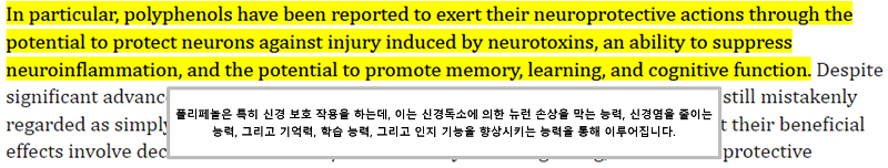 폴리페놀 효능