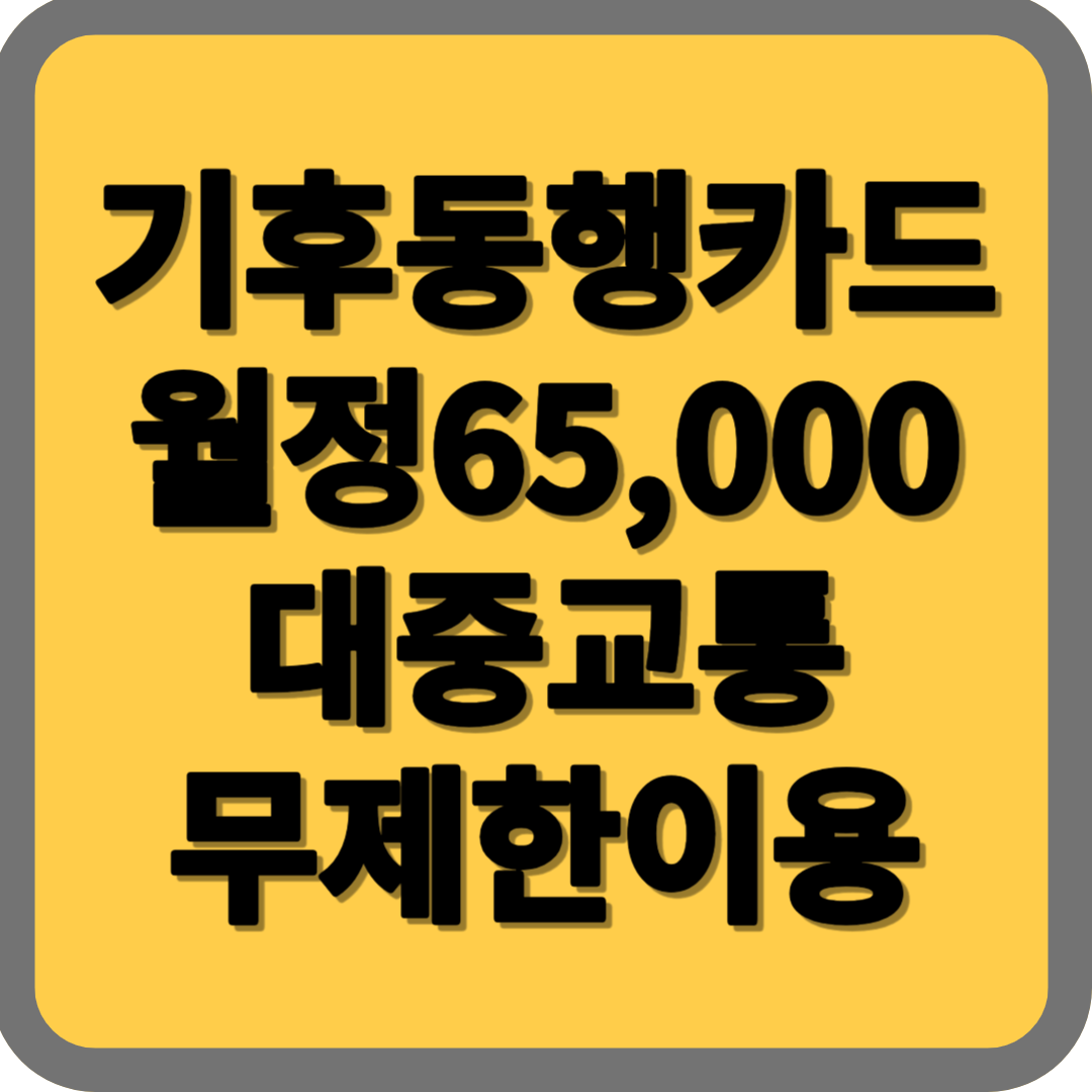  기후동행카드 월정6만5천원으로 서울시내 대중교통 무제한 이용