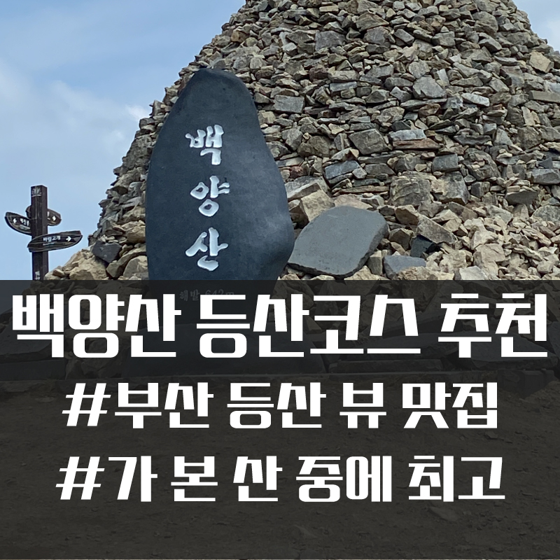  부산에 있는 산 중에 최고! 백양산 등산코스 추천 #부산 #등산로 #백양산
