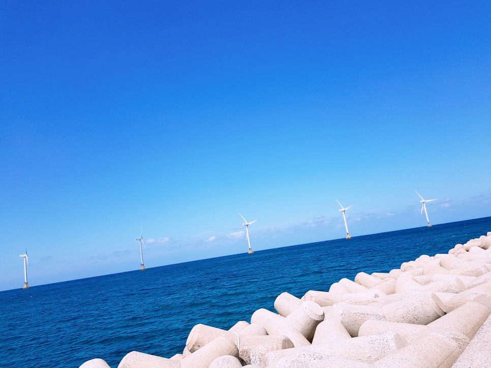  A trip to Jeju Island. Blue Road, refreshing feeling of freedom. This is Shinchang Windmill Coast Road!