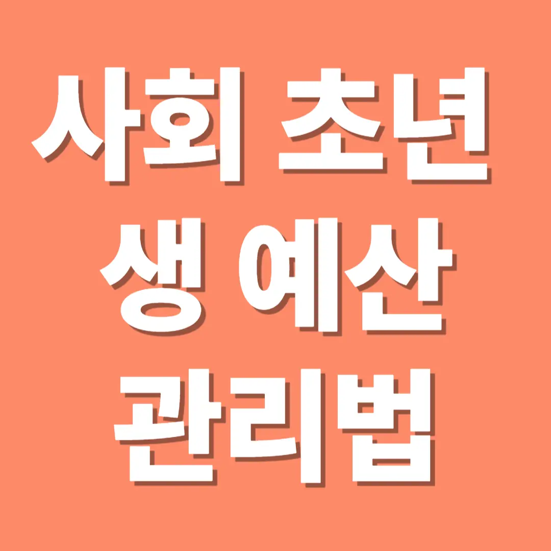 사회 초년생 예산 관리법