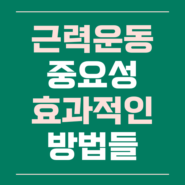  근력 운동의 중요성과 효과적인 방법들