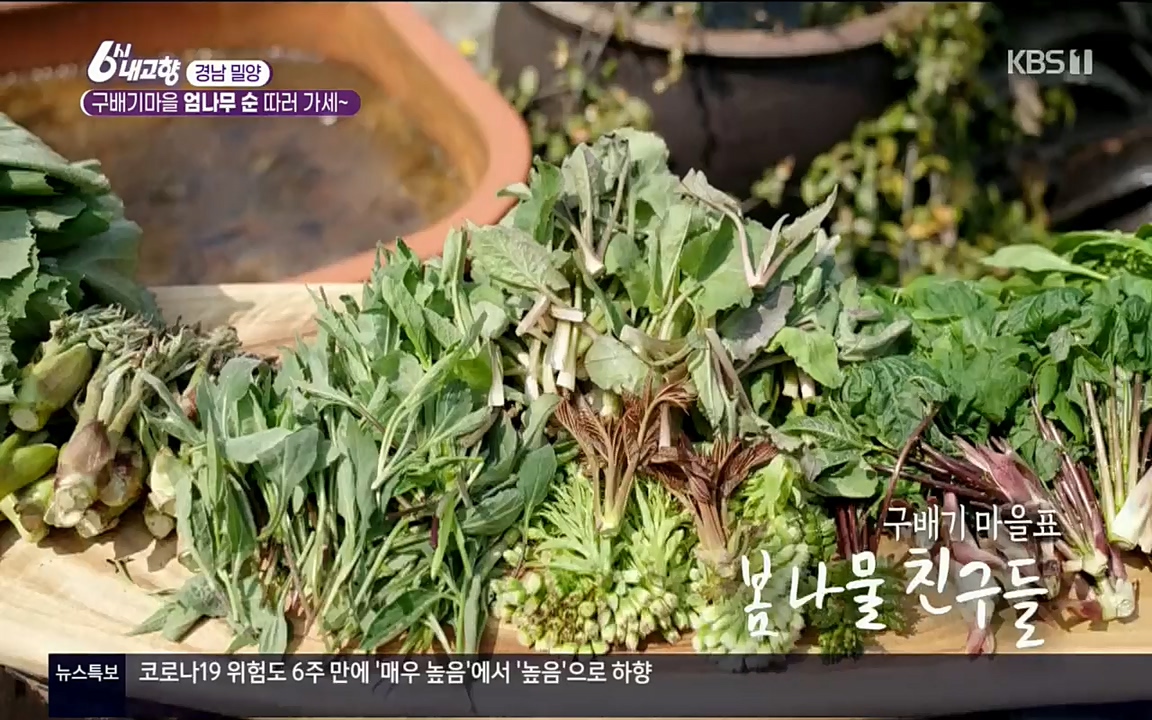 6시 내고향.E7510.220414p.H264-F1RST.mp4_20220419_185734.183.jpg