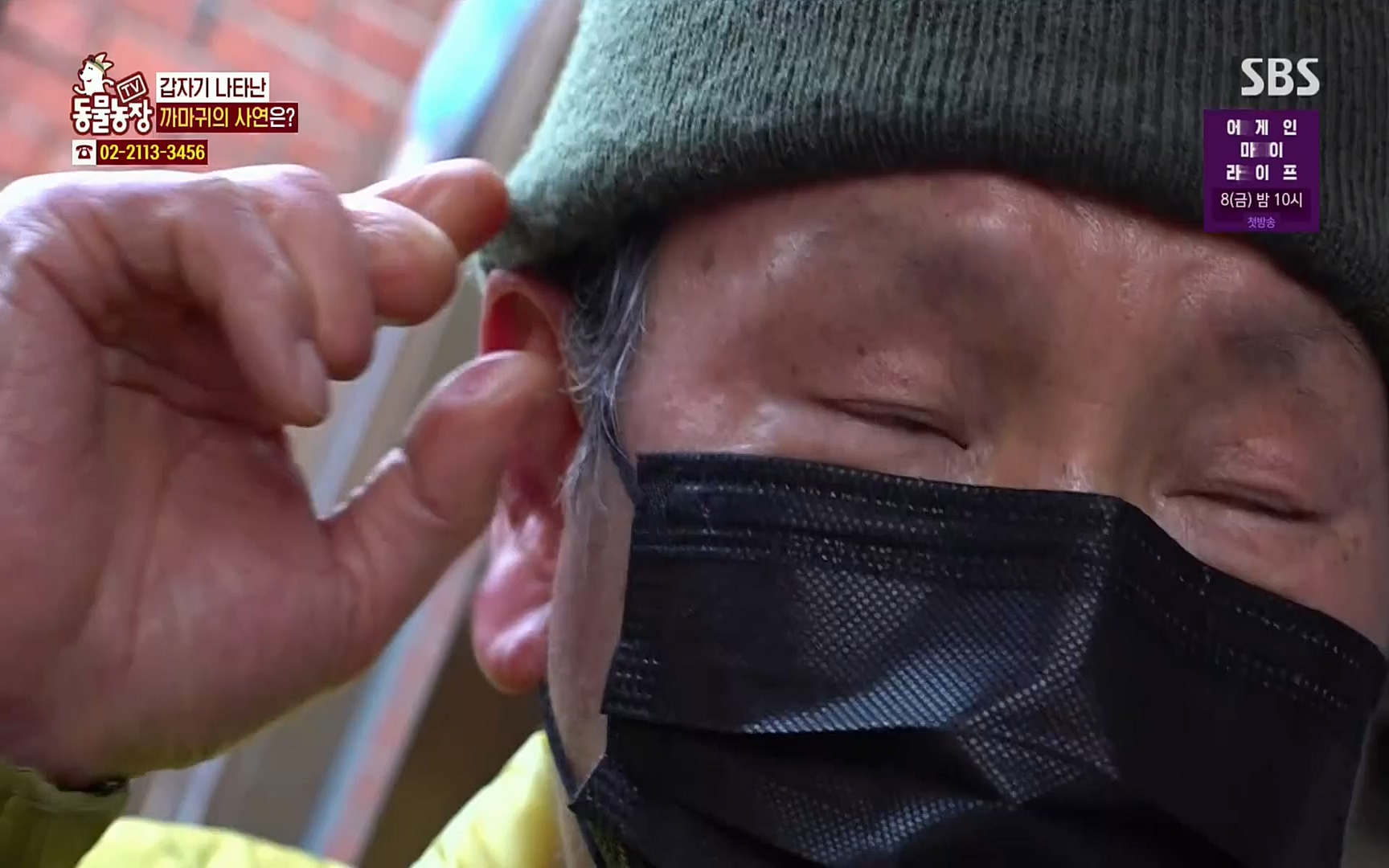 TV 동물농장.E1062.220327p.H264-F1RST.mp4_20220327_174435.313.jpg