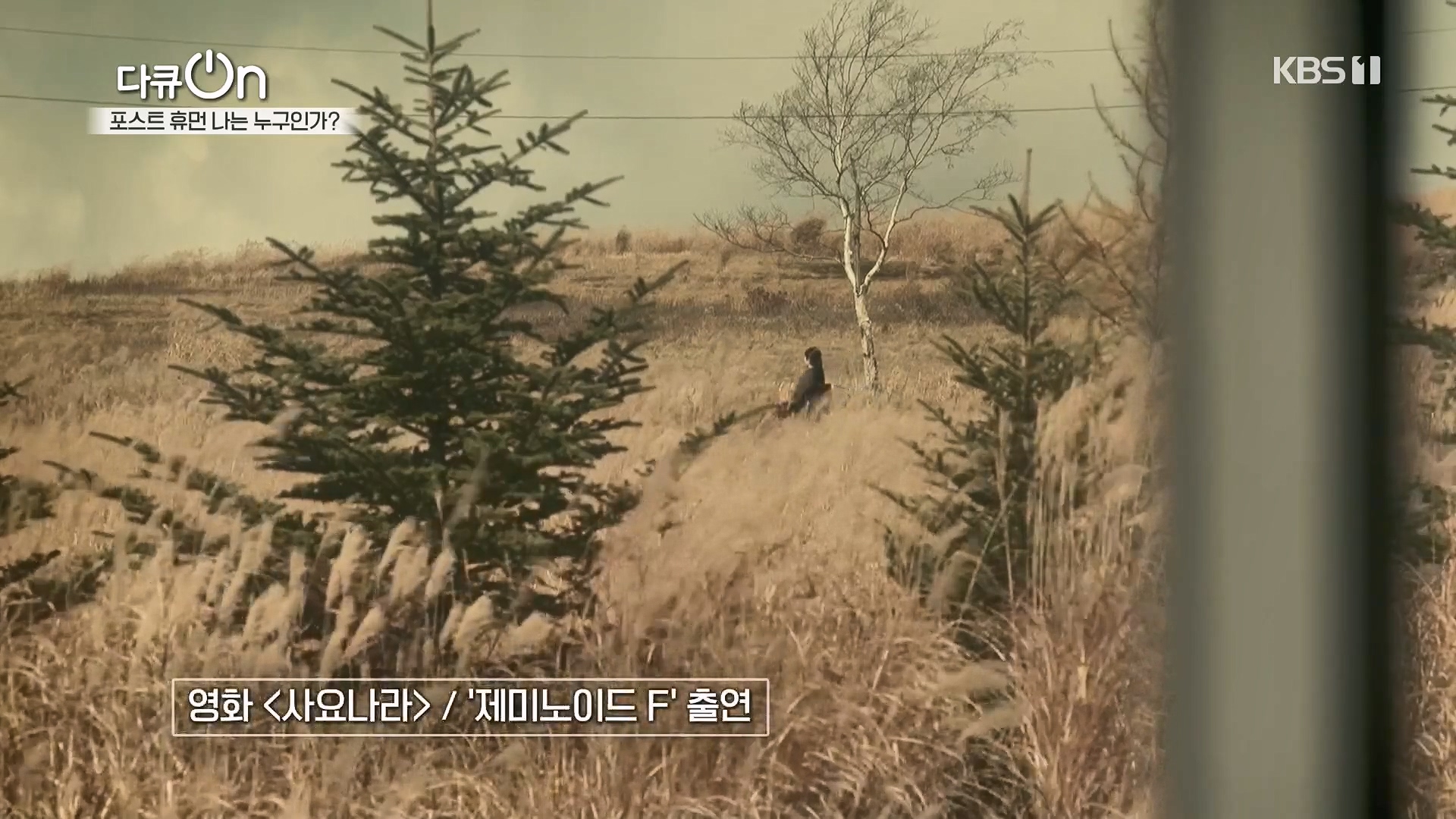 다큐 On.E196.230428p.H264-F1RST.mp4_20230430_174500.646.jpg