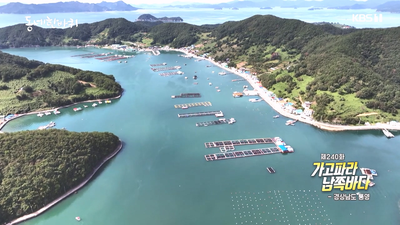 동네 한 바퀴.E243.231015p-NEXT.mp4_20231015_183321.416.jpg