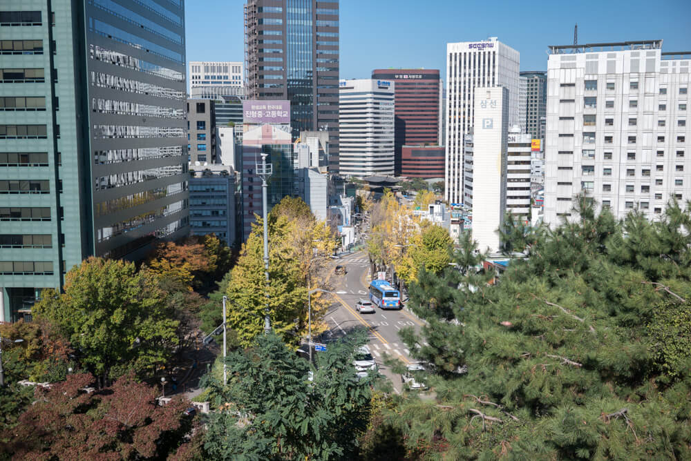 서울단풍명소 남산둘레길