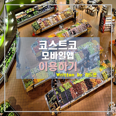  코스트코 온라인몰 모바일 회원권 이용