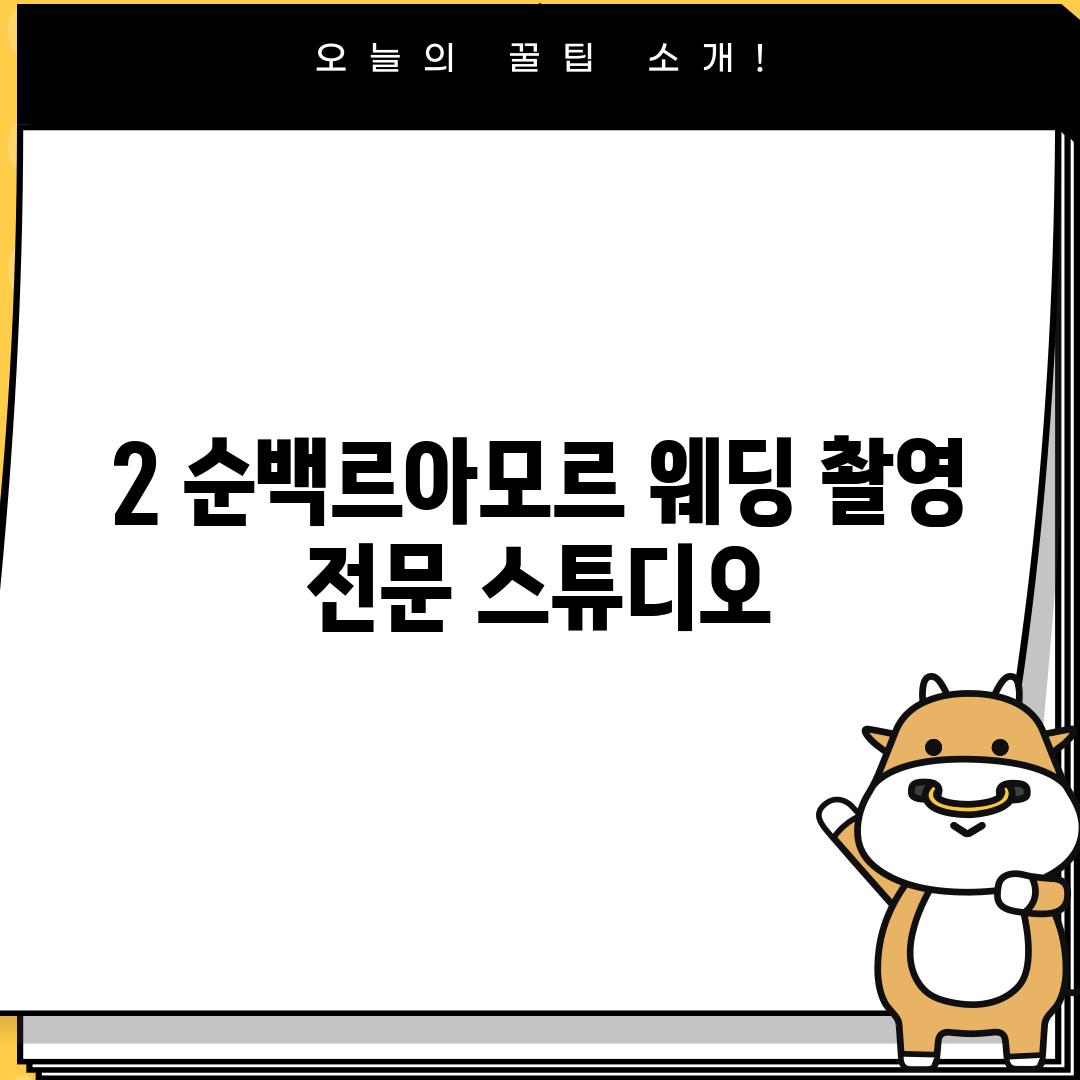 2. 순백르아모르: 웨딩 촬영 전문 스튜디오