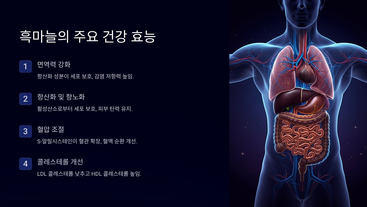 흑마늘 효능