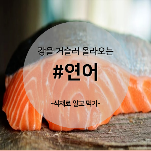  알고 먹기 30. #연어