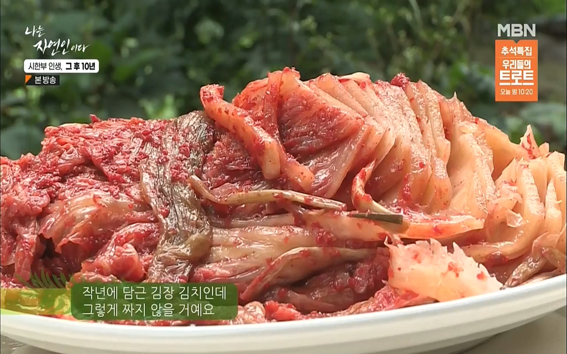 나는 자연인이다.E518.220908p.WANNA.mp4_20220908_200820.089.jpg