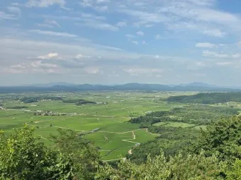 쿠팡 물류센터 알바 후기 나이제한 일당_14