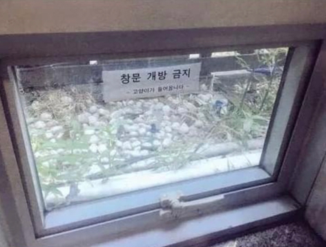  창문을 열면 안 되는 카페