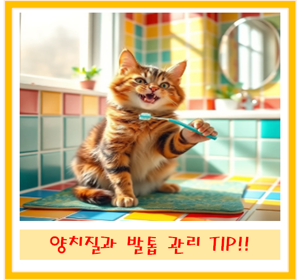 고양이 양치질