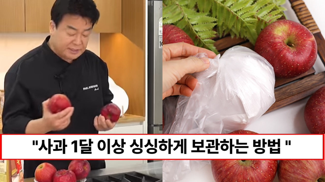“사과 이렇게 보관 안하면 하루만에 썩습니다” 제철 사과 한달 넘게 싱싱한 상태로 보관할 수 있는 방법