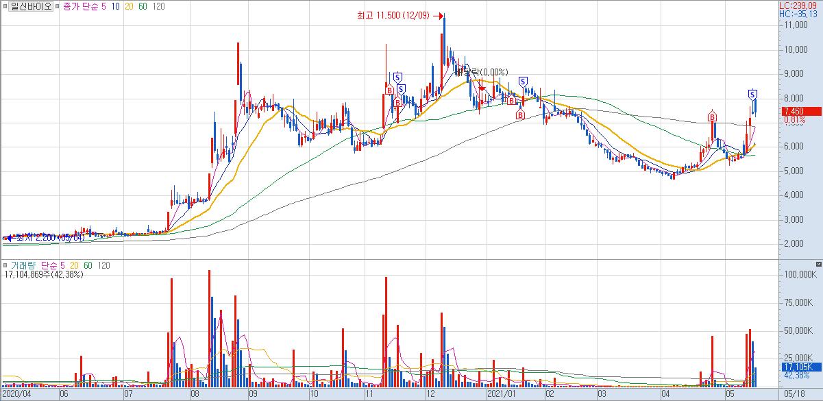  특징주 뉴스를 통해 찾은 콜드체인 관련주 일신바이오 주가 전망