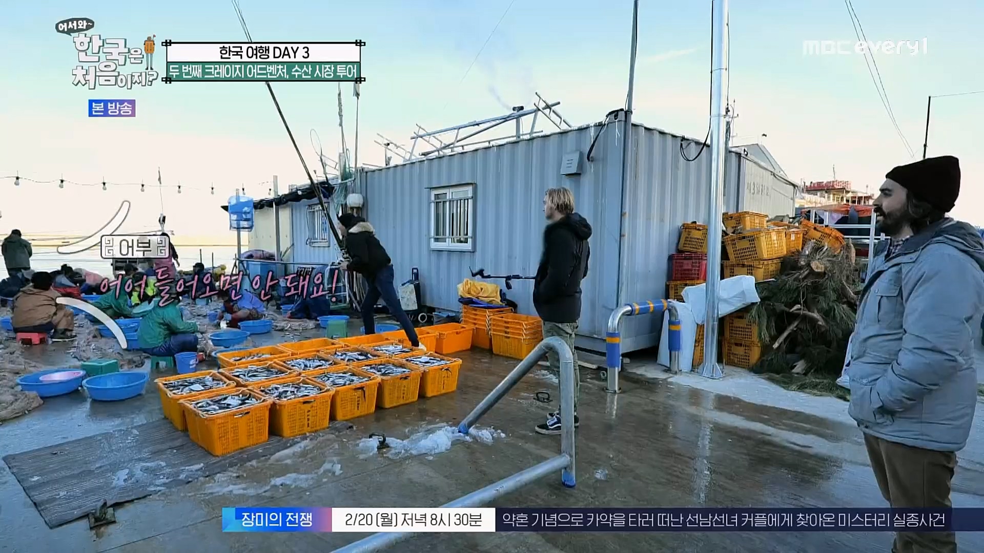 어서와~ 한국은 처음이지.E283.230216p.H264-F1RST.mp4_20230218_181054.992.jpg