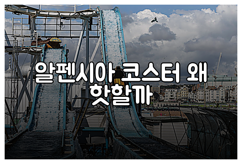 알펜시아 코스터 왜 핫할까