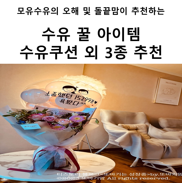  모유 수유에 대한 오해 및 돌끝맘이 추천하는 수유 꿀 아이템 (수유 쿠션, 유두 상처 연고, 유두 보호기, 수유 의자, 내돈내산) 추천