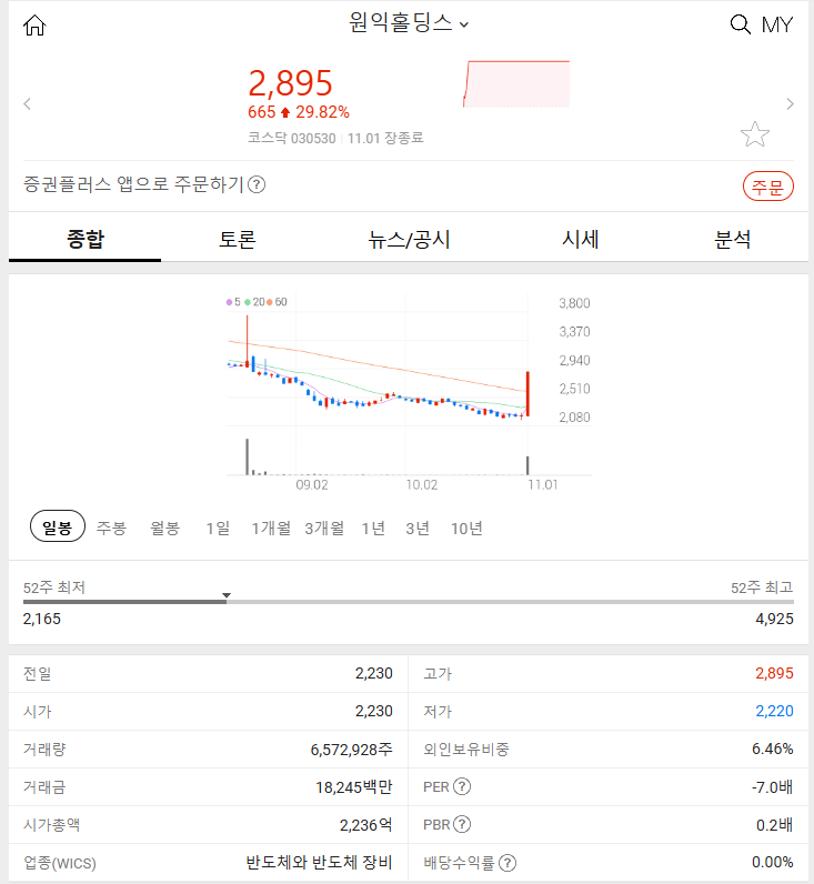 와이지홀딩스 이미지