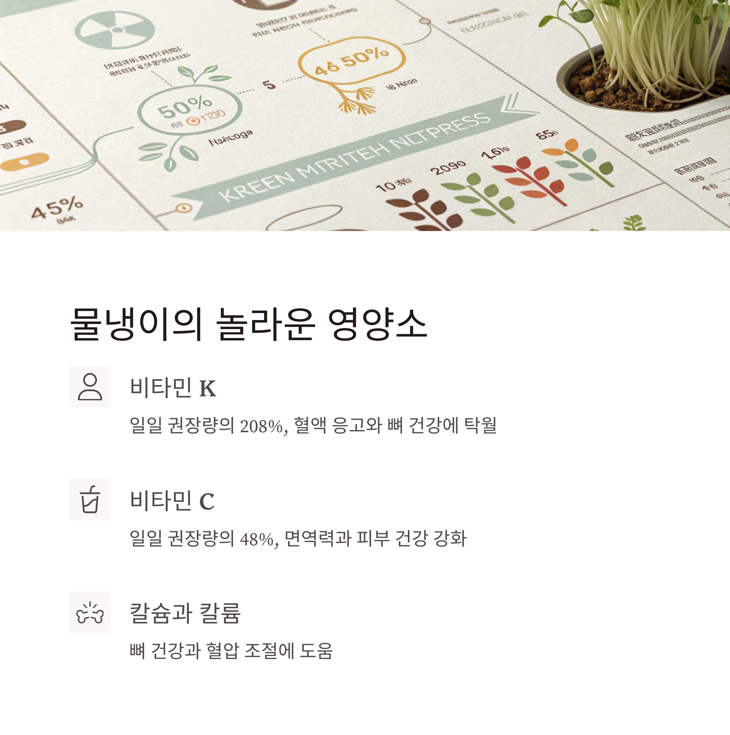 물냉이 영양정보