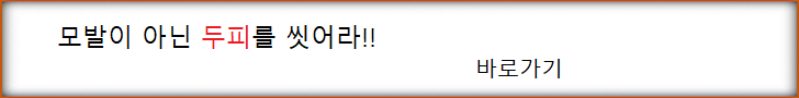 두피 세척에 필요한 논리적 정보 모음
