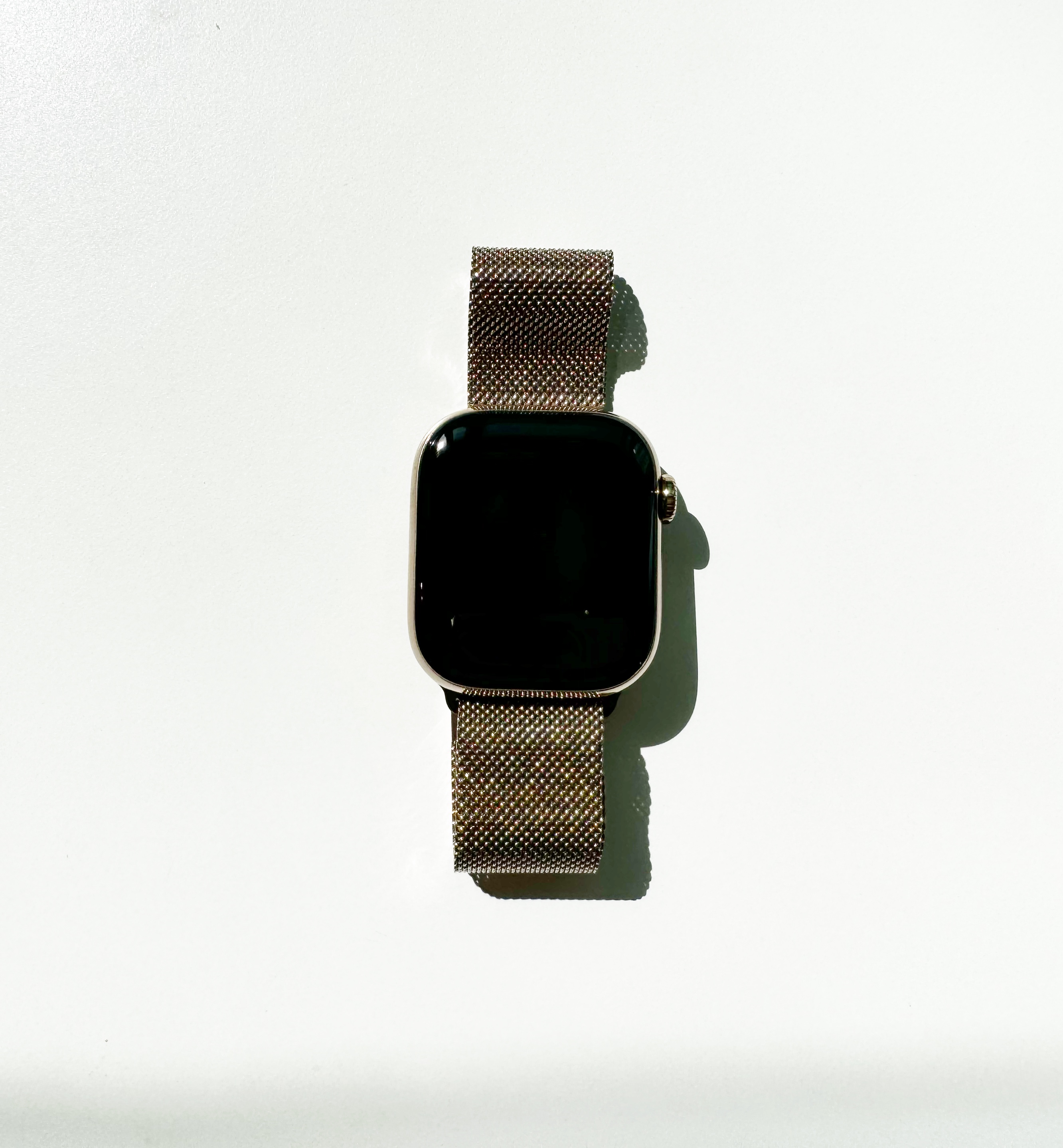 애플워치 시리즈 10 골드 티타늄 케이스 42mm, 골드 밀레니즈 루프 구매 후기