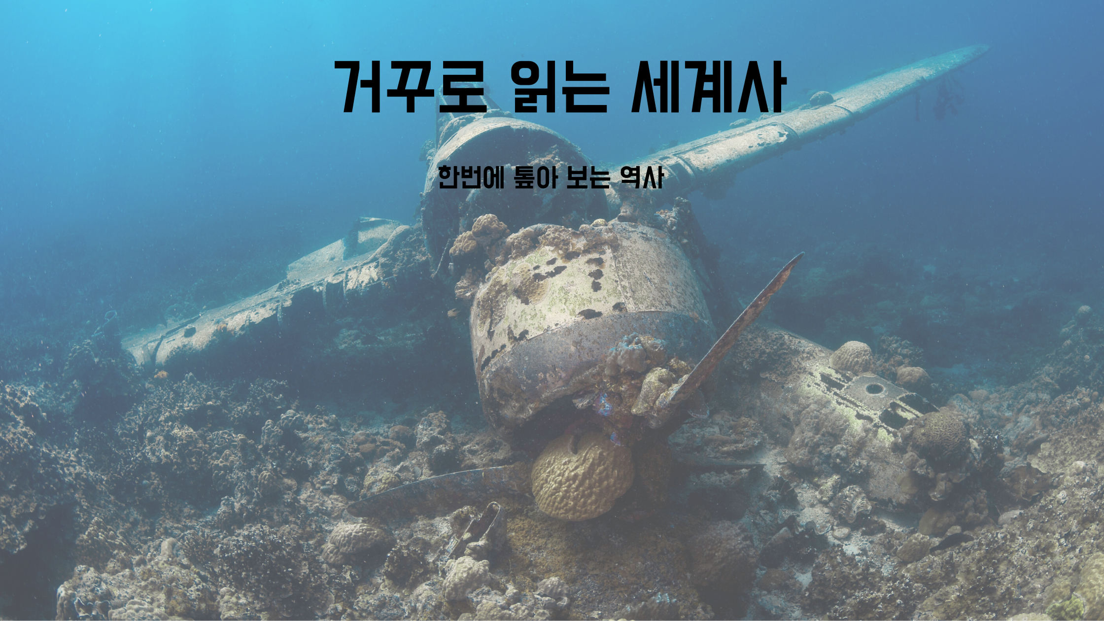 거꾸로 읽는 세계사 - 한번에 톺아 보는 역사
