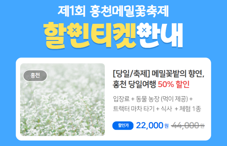 가을 나들이 꽃 축제 강원도 2곳