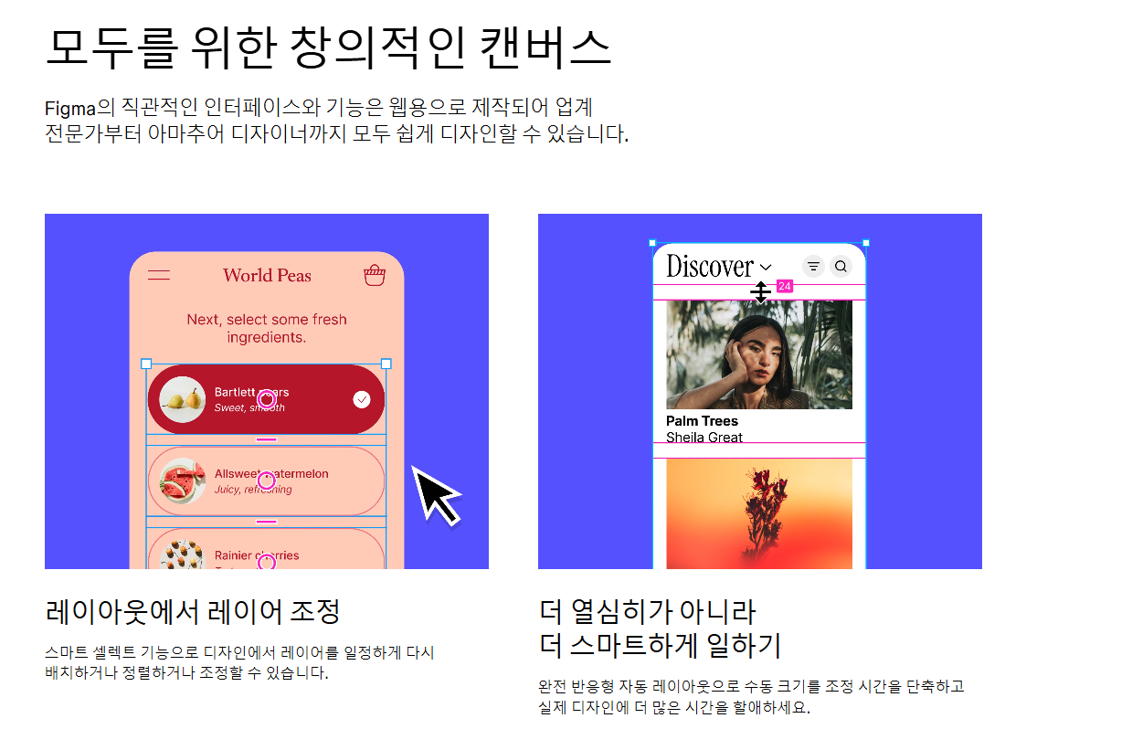피그마