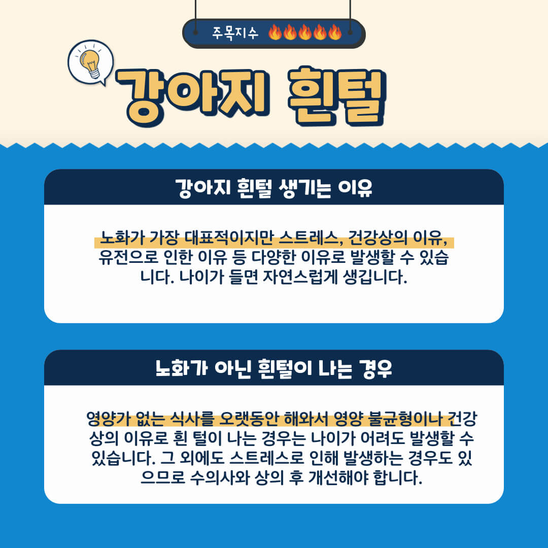 강아지 흰털이 나는 이유