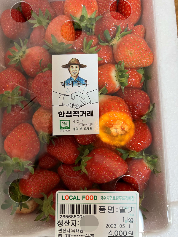 딸기 구매