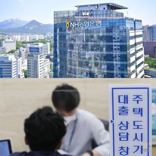  주택담보대출 전면중단 농협 외엔 적정 공급 대출 불안
