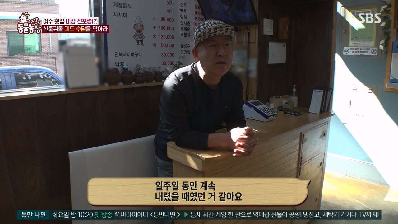 TV 동물농장.E1168.240422p-NEXT.mp4_20240421_170940.131.jpg