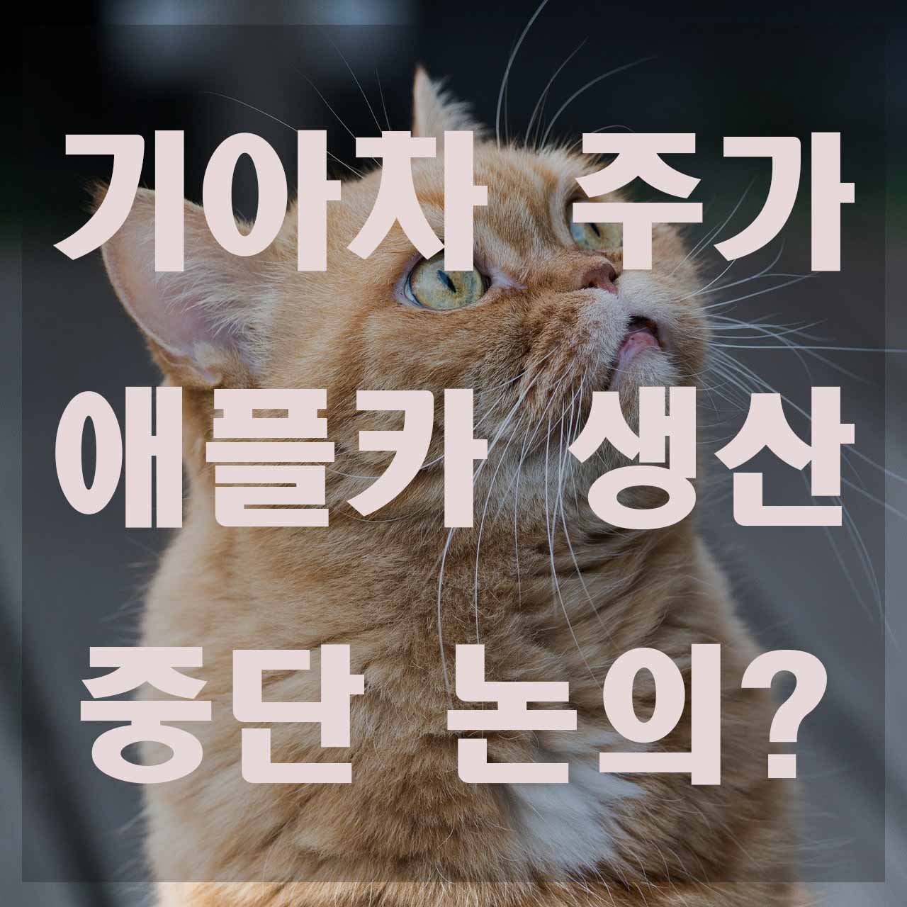  기아차 주가 애플카 생산 논의 중단?